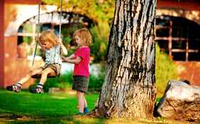 Viel Platz im Garten - Foto: Ingo Wandmacher